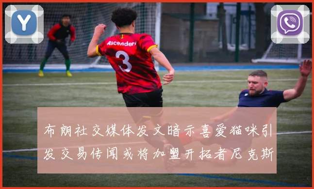 布朗社交媒体发文暗示喜爱猫咪引发交易传闻或将加盟开拓者尼克斯雷霆湖人